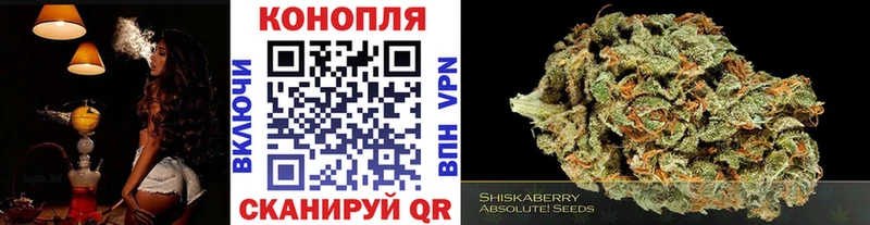 Наркота Суздаль Гашиш  Псилоцибиновые грибы  Alpha-PVP  Мефедрон  Канабис 