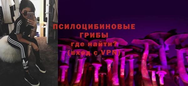 стаф Абдулино