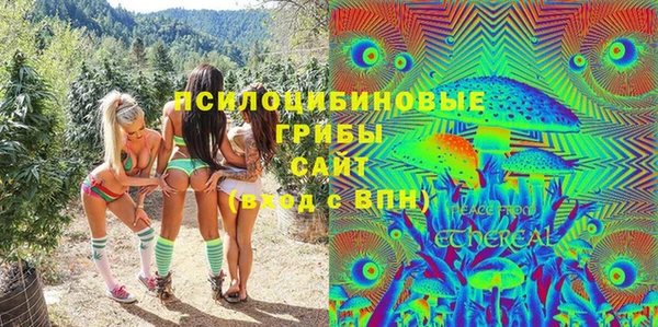 ECSTASY Абаза