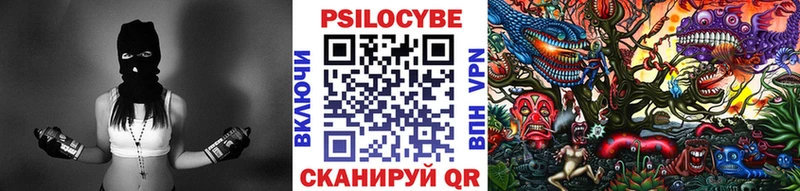 цена   Суздаль  Галлюциногенные грибы GOLDEN TEACHER 